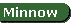 Minnows